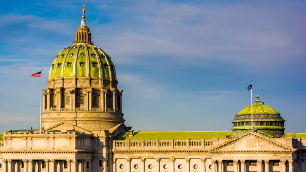 Picozzi Named Vice Chair of Senate Majority Policy Committee